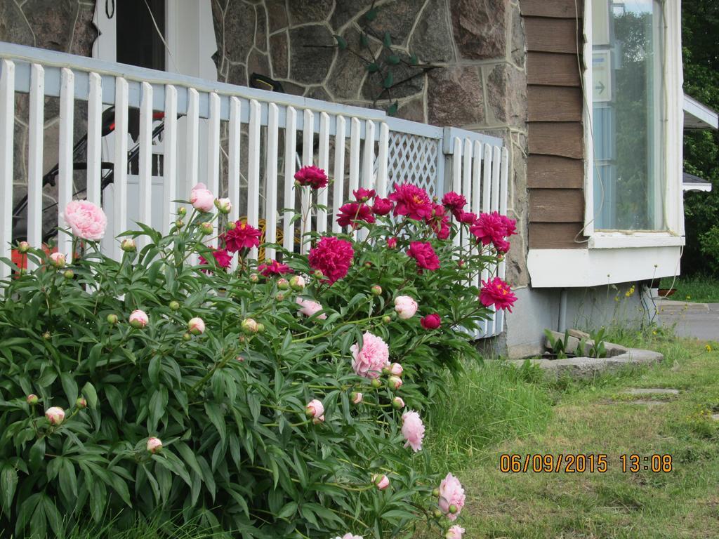 Motel Jann Quebec City Bagian luar foto